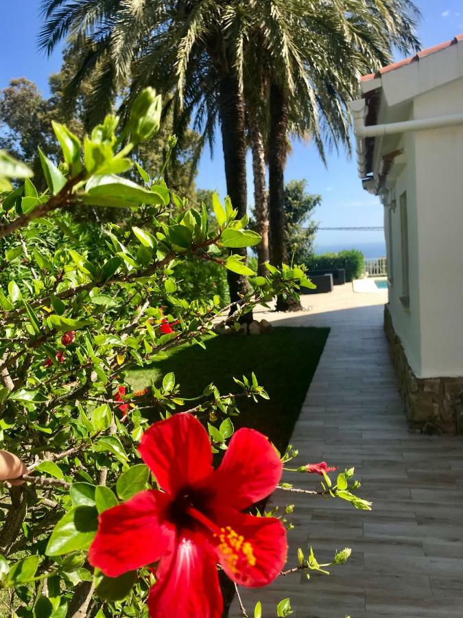 Villa Denia Costa Blanca Eksteriør billede