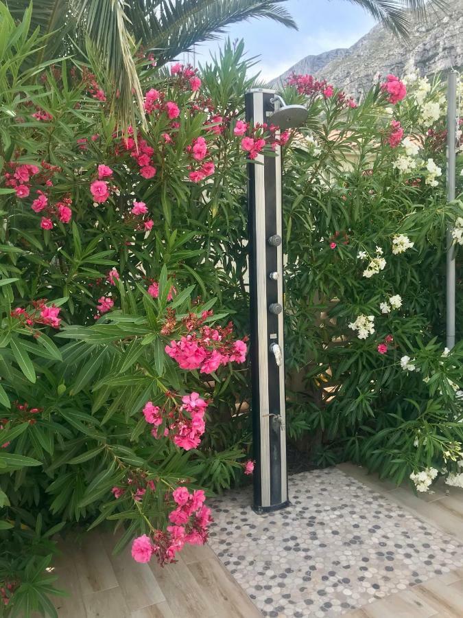 Villa Denia Costa Blanca Eksteriør billede